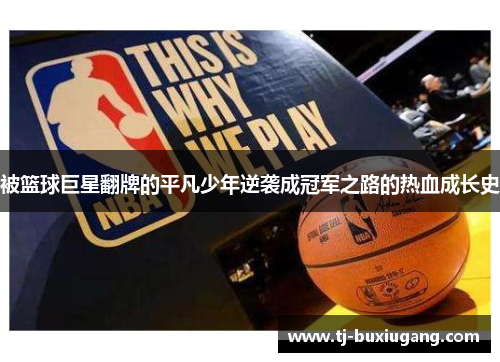 被篮球巨星翻牌的平凡少年逆袭成冠军之路的热血成长史